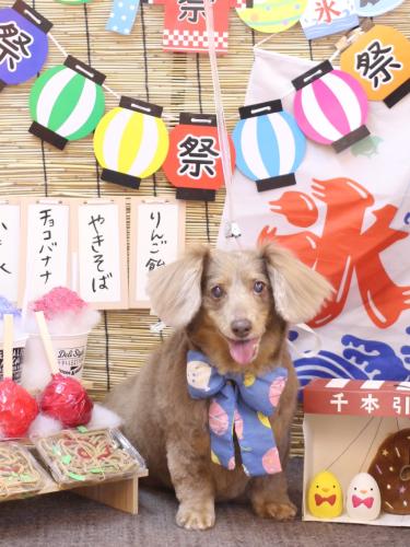 20240720桃ちゃん